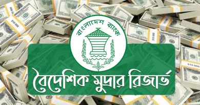 বাংলাদেশ রিজার্ভ নিয়ে কতটা সংকটে? কতটা সংকটে দেশের অর্থনীতি?