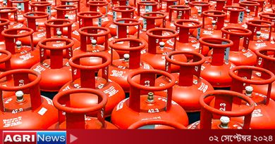 এলপি গ্যাসের দাম বাড়ল আরেক দফা